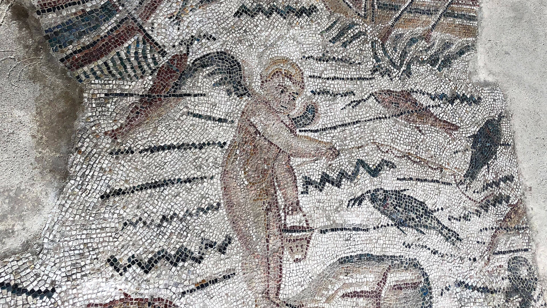 Visita guidata della villa romana di Desenzano | Guide Sirmione