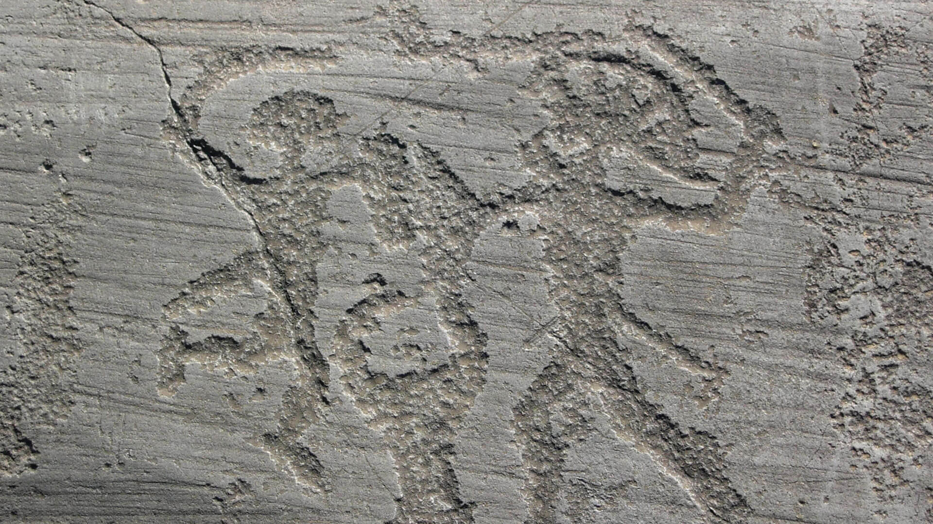 Visite guidée des gravures rupestres | Guide Sirmione