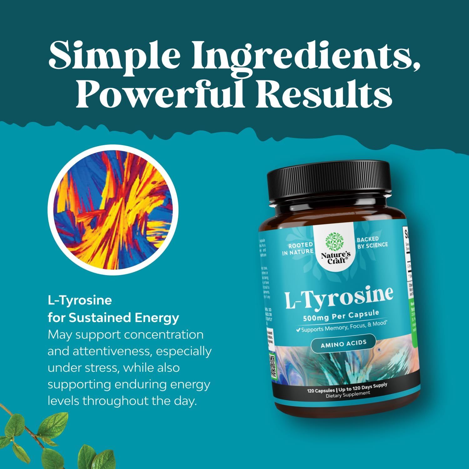 L Tyrosine