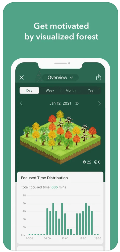 Forest
