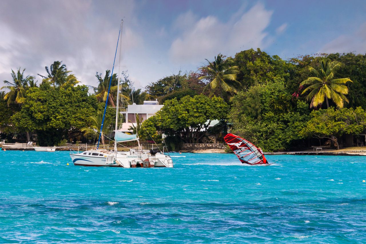 Ile Aux Cerfs Excursion - Image 1