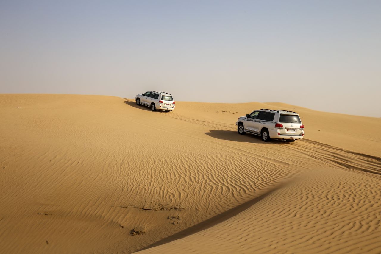Desert Safari - Image 1