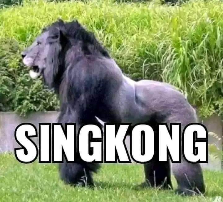 KOKO500 SITUS SLOT MAXWIN RESMI GAME PGSOFT REKOMENDASI ANTI RUNGKAT image 1