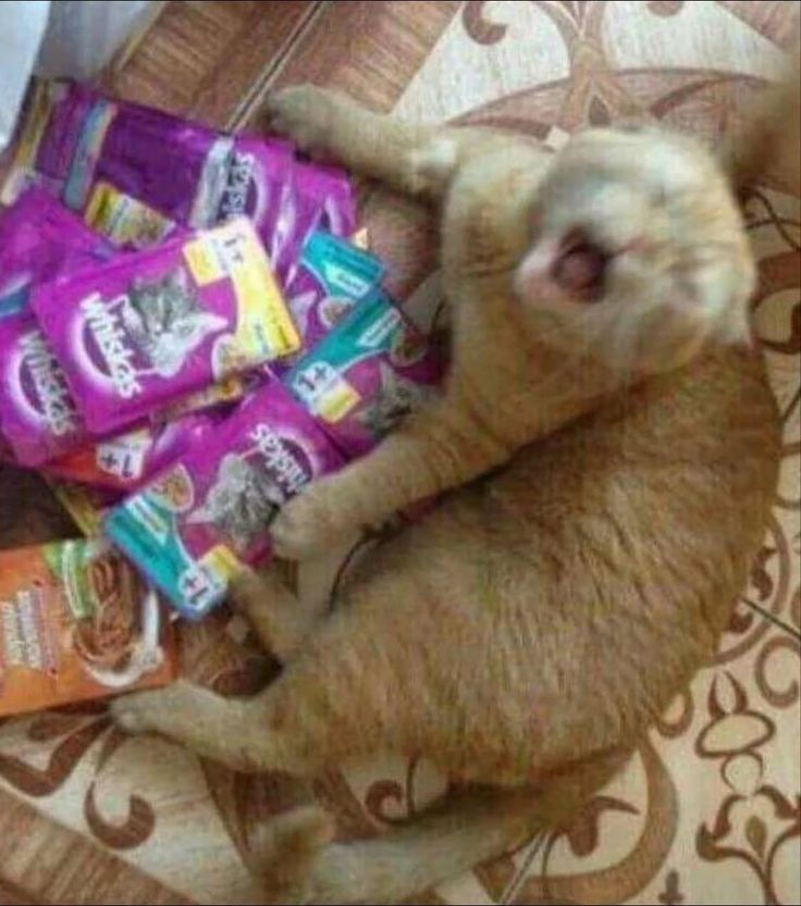 SURYA777: Pusat Daftar Slot Gacor Terpercaya Hari Ini Mudah Jackpot Anti Rungkad - WooCommerce eCommerce