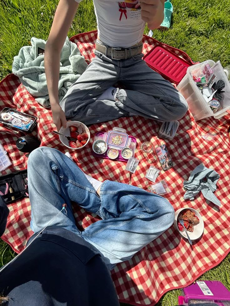 picnic vibe