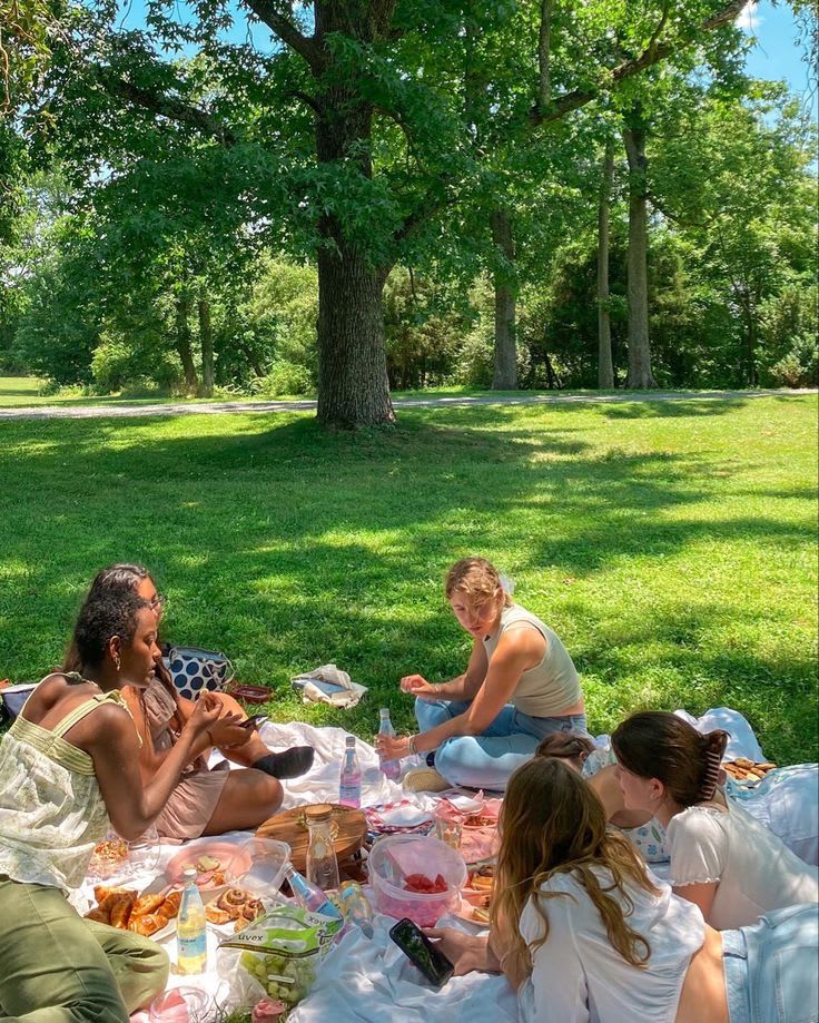 picnic vibe