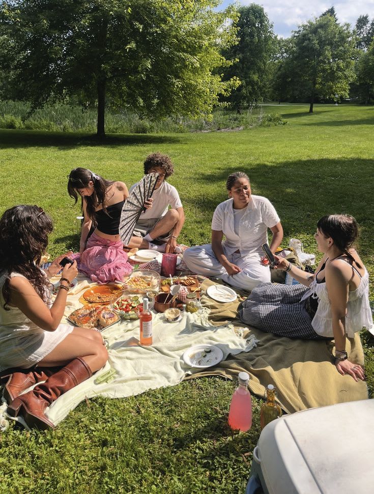 picnic vibe