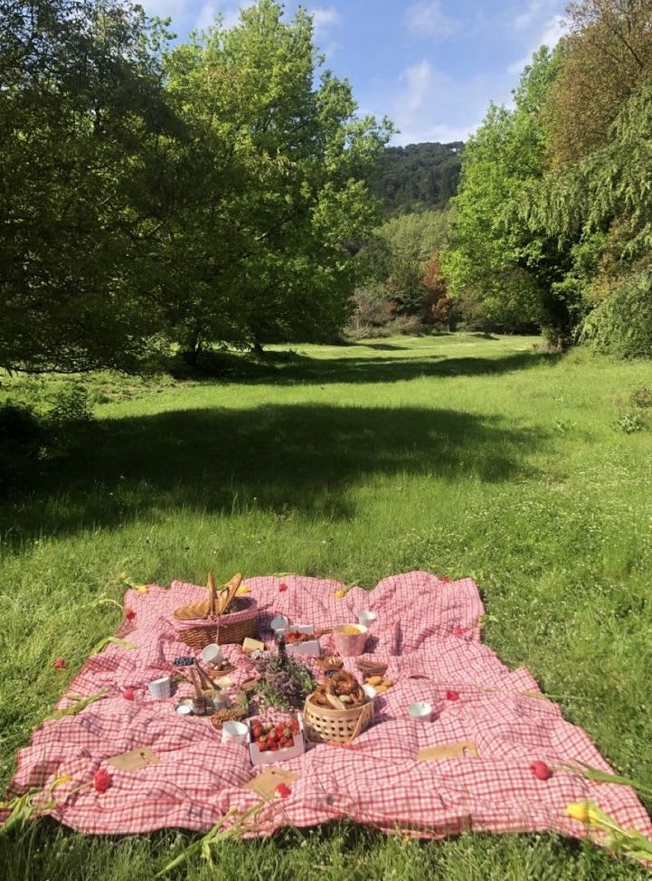 picnic vibe
