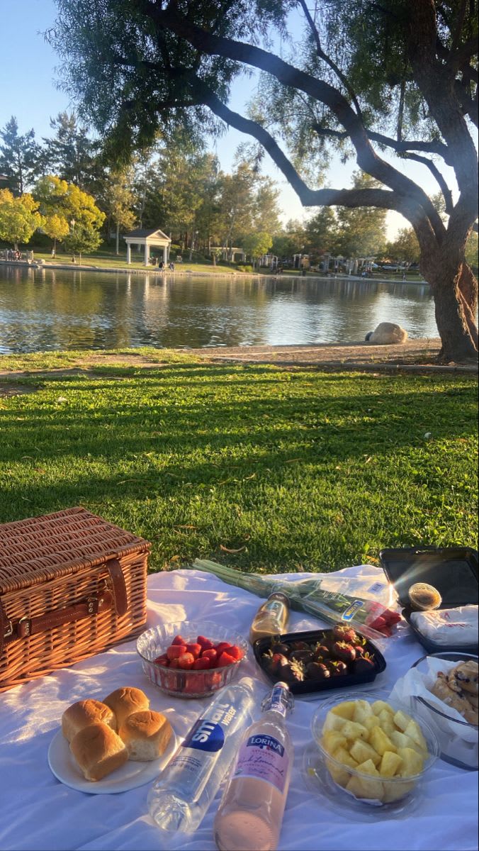 picnic vibe