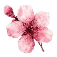 Mother's Day Gallery\n pass=guestpass
