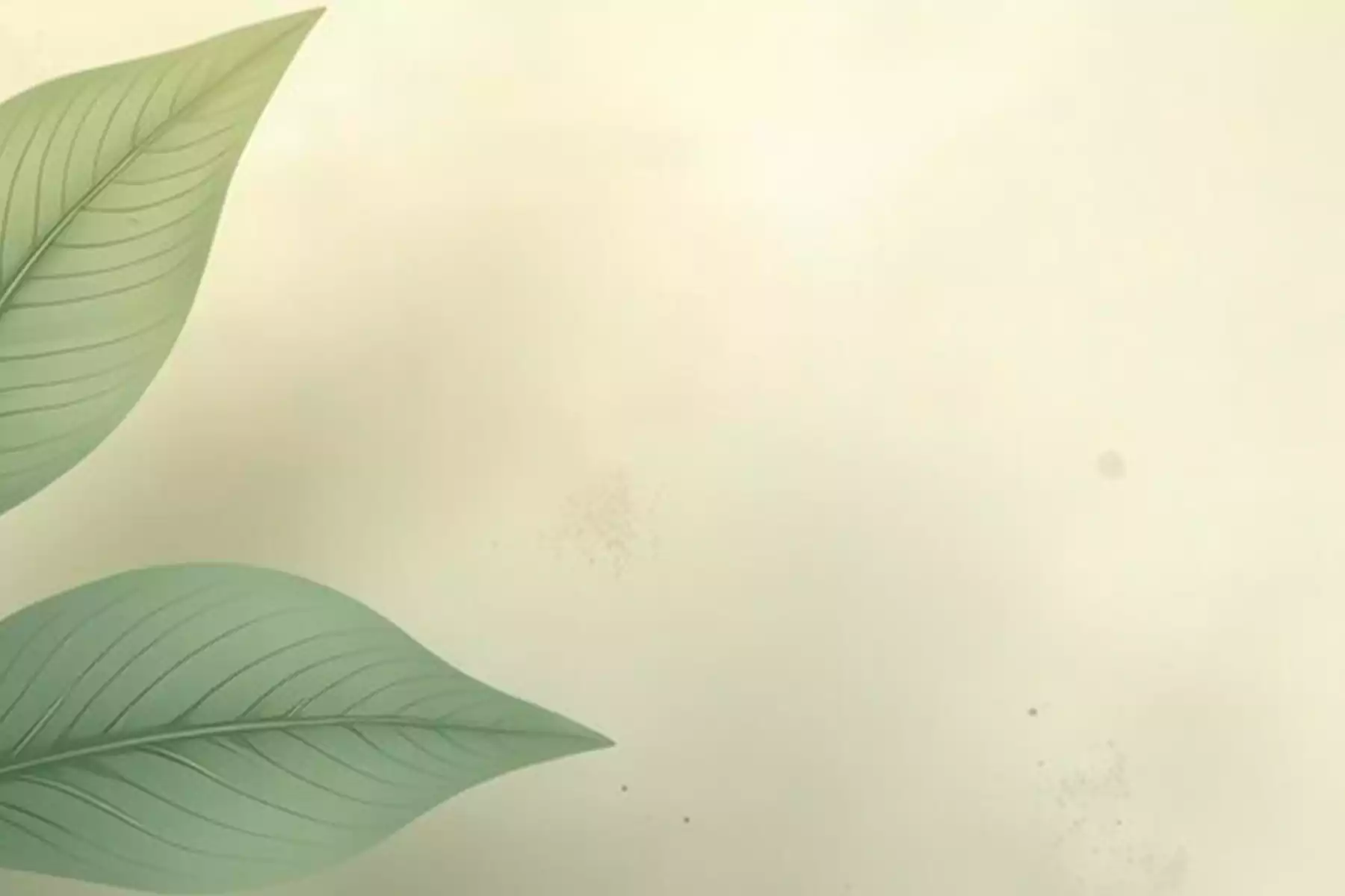 Senses by Nature: Pure Beauty