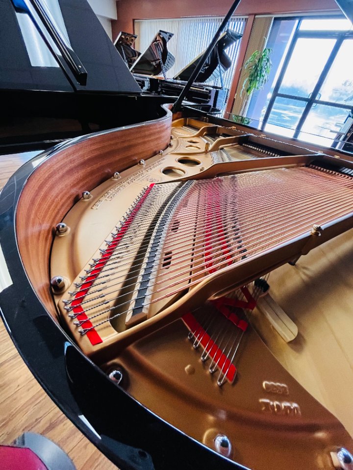 Steinway Model O Renewed  3