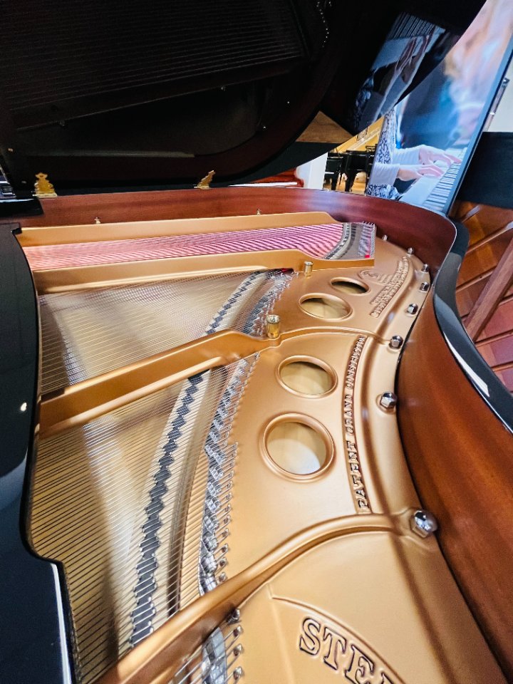 Steinway Model O Renewed  5