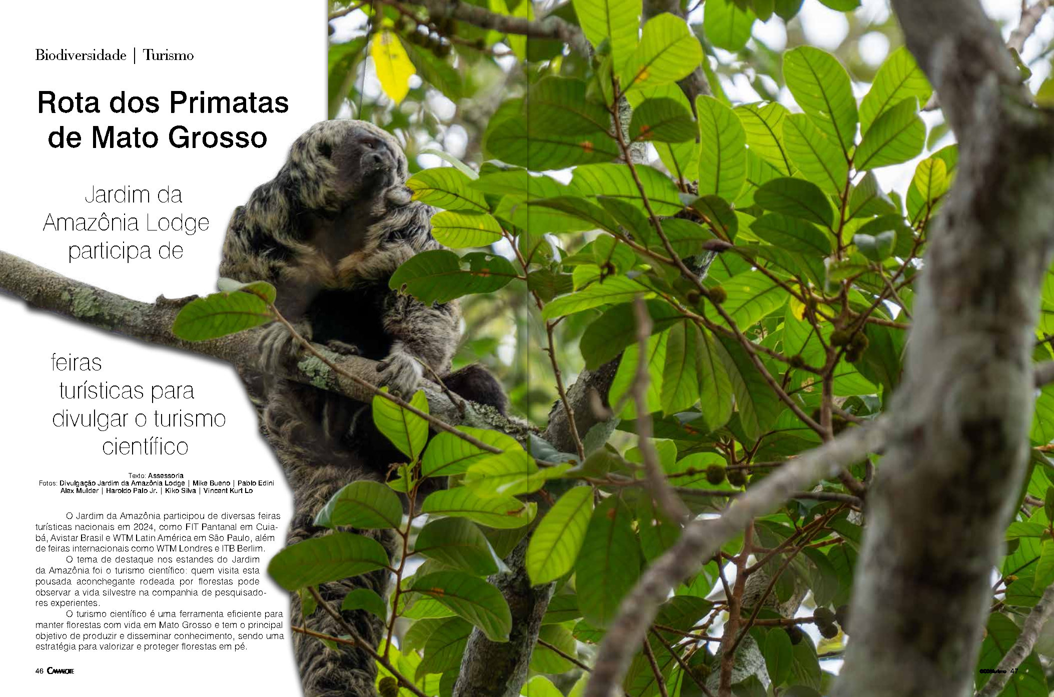 Jardim da Amazônia: Destaque em Turismo Científico e Ecológico - Page 1
