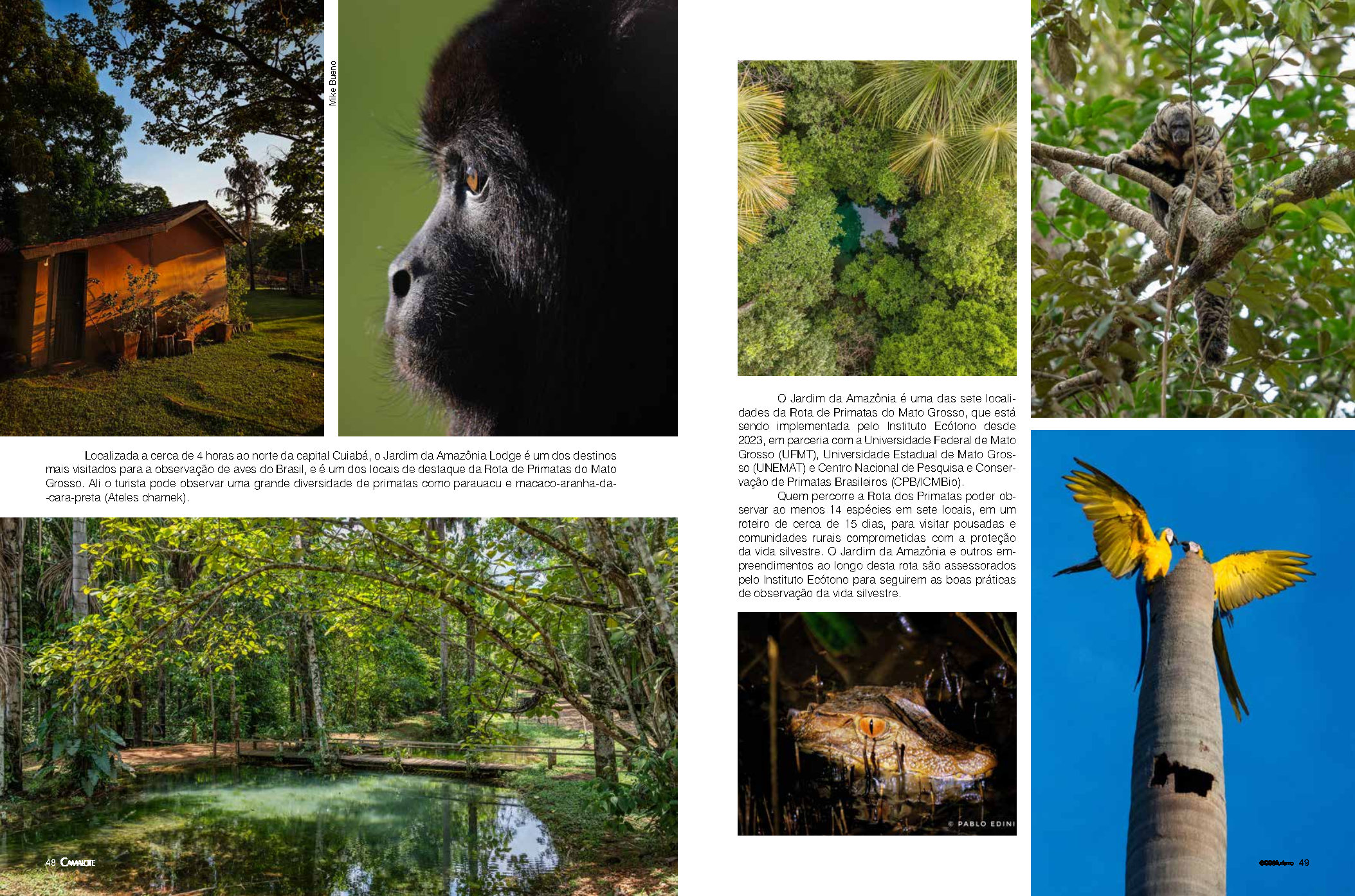 Jardim da Amazônia: Destaque em Turismo Científico e Ecológico - Page 2