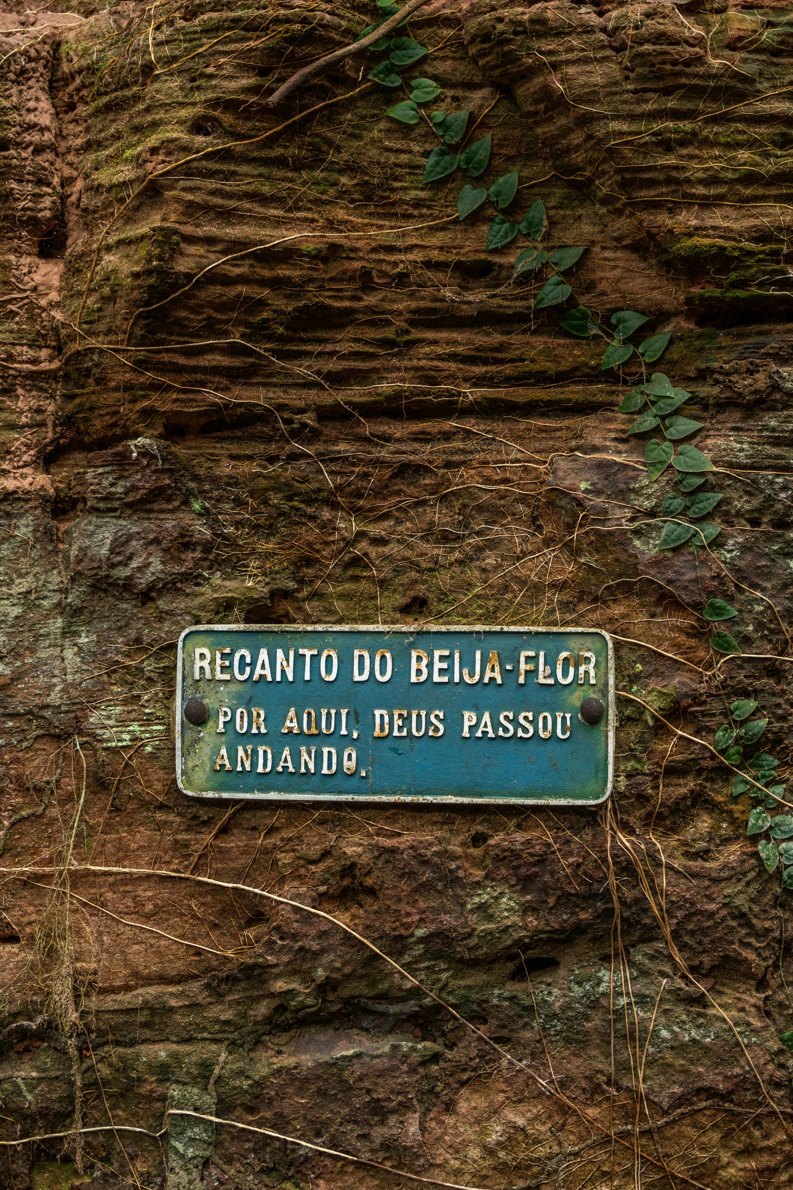 Elevador de Alcalinidade para Piscinas iGUi 2kg - Estabiliza pH e Mantém  Água Cristalina, image size:2667x4000