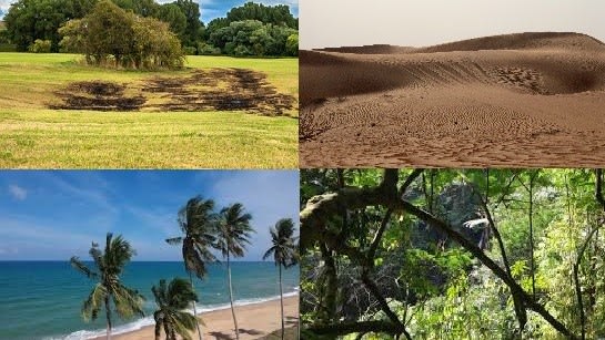 Biodiversitas Keanekaragaman Hayati Anashir Learning