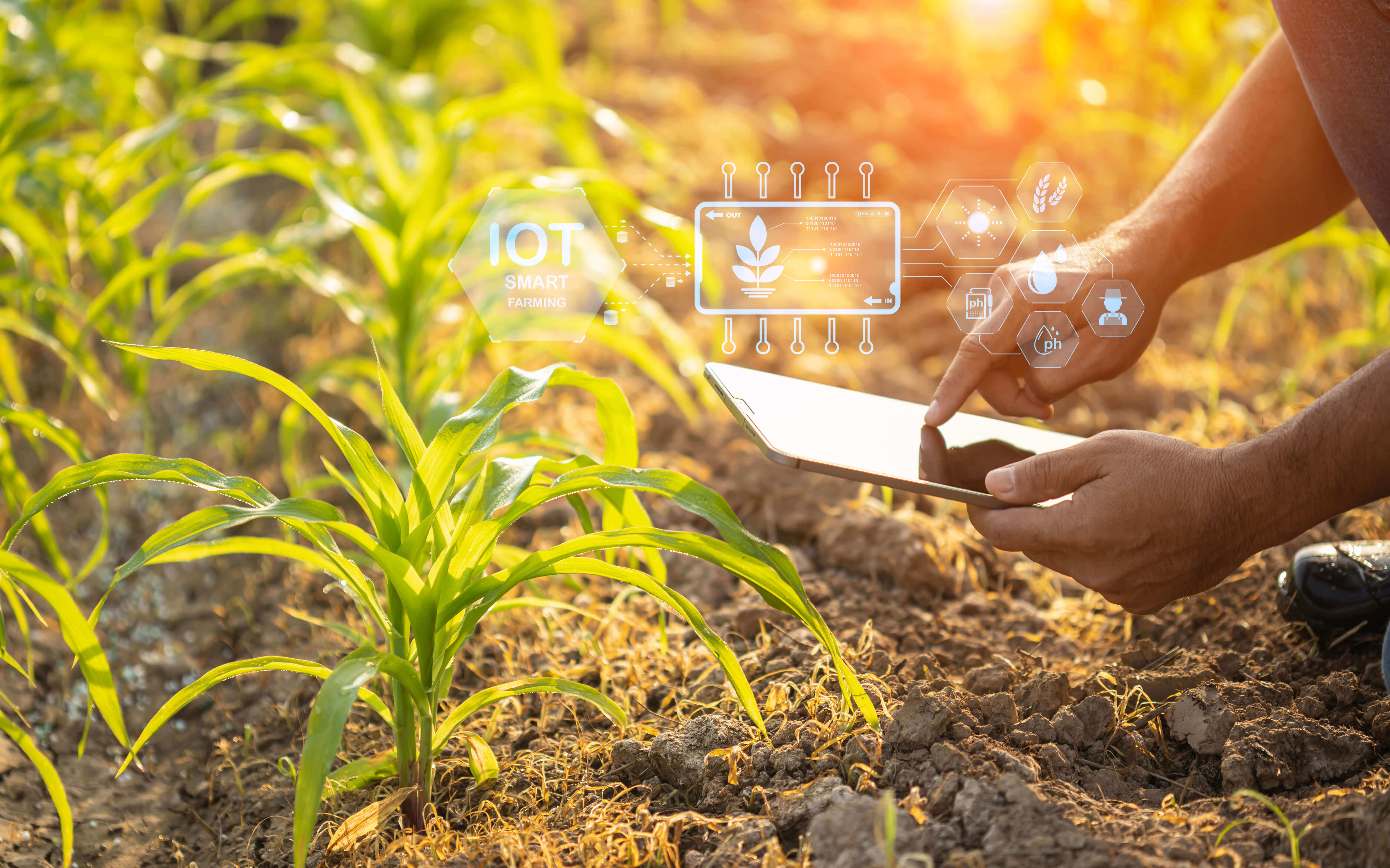 Agriculture & AgriTeh Solutions | Enhance Agricultural Productivity with Smart AI & IoT Solutions