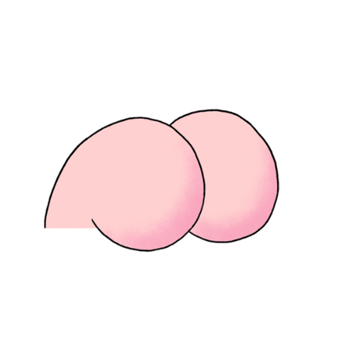 THE FART SIMULATOR