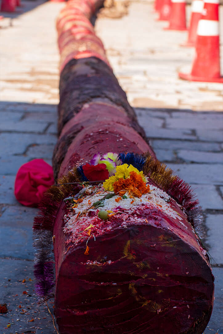 Sacred Pole of Indra Jatra: Preparing the Yosin