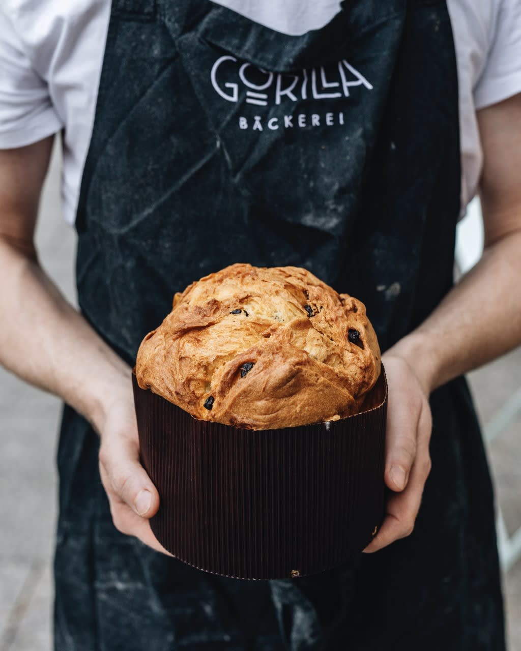 Panettone Aprikose Schokolade