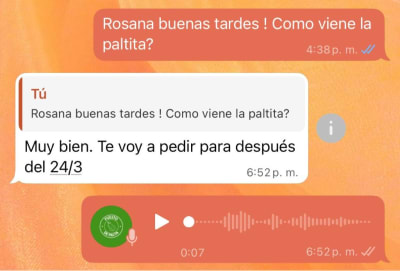 Testimonio