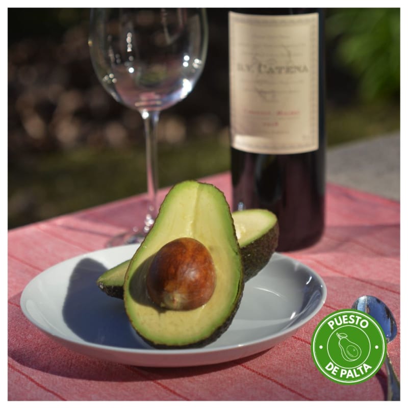 Palta con vino Catena