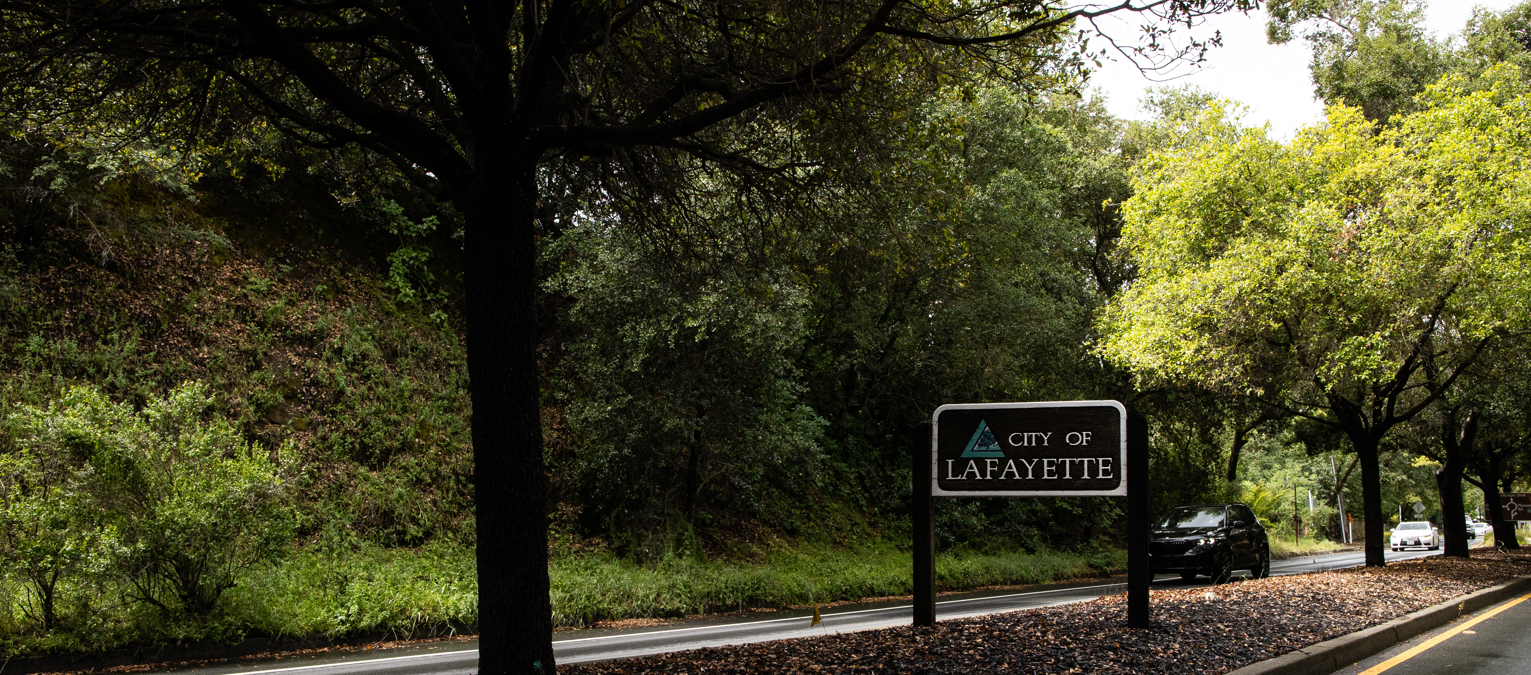 Lafayette California – Date of Death appraisal services