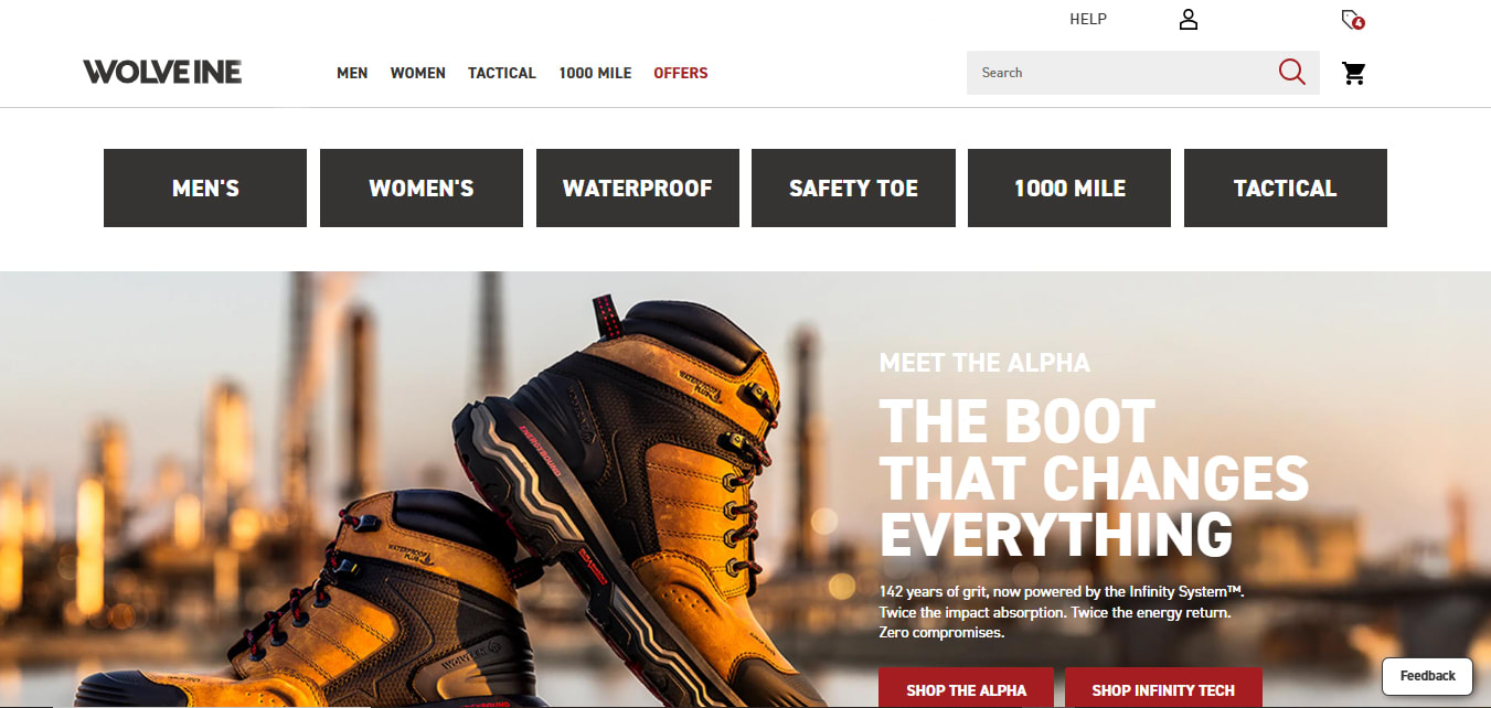 web development company in raleigh