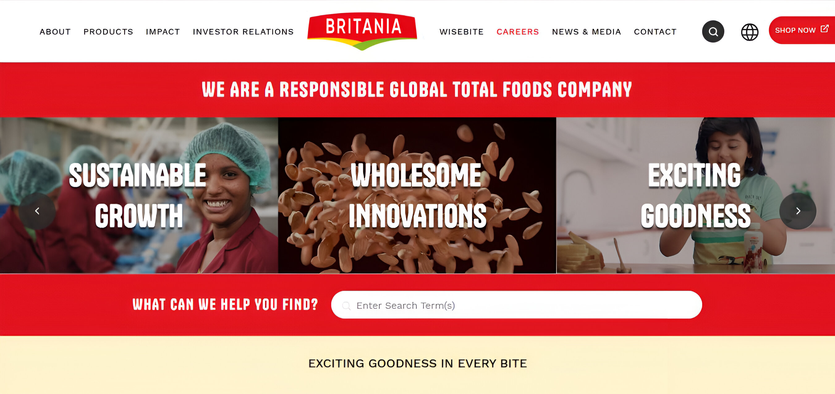 bigcommerce development company in delhi