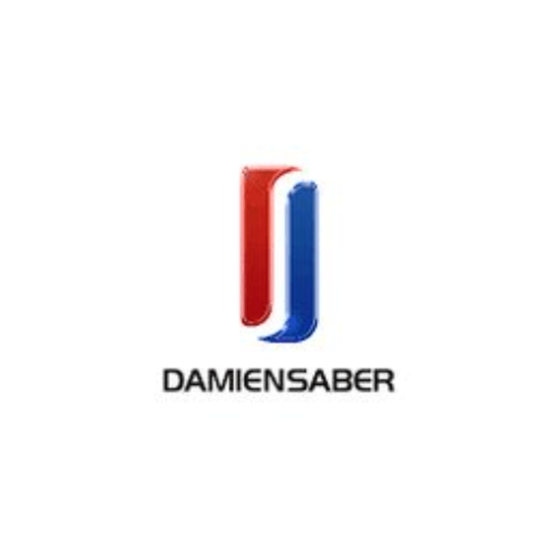 DAMIENSABER logo