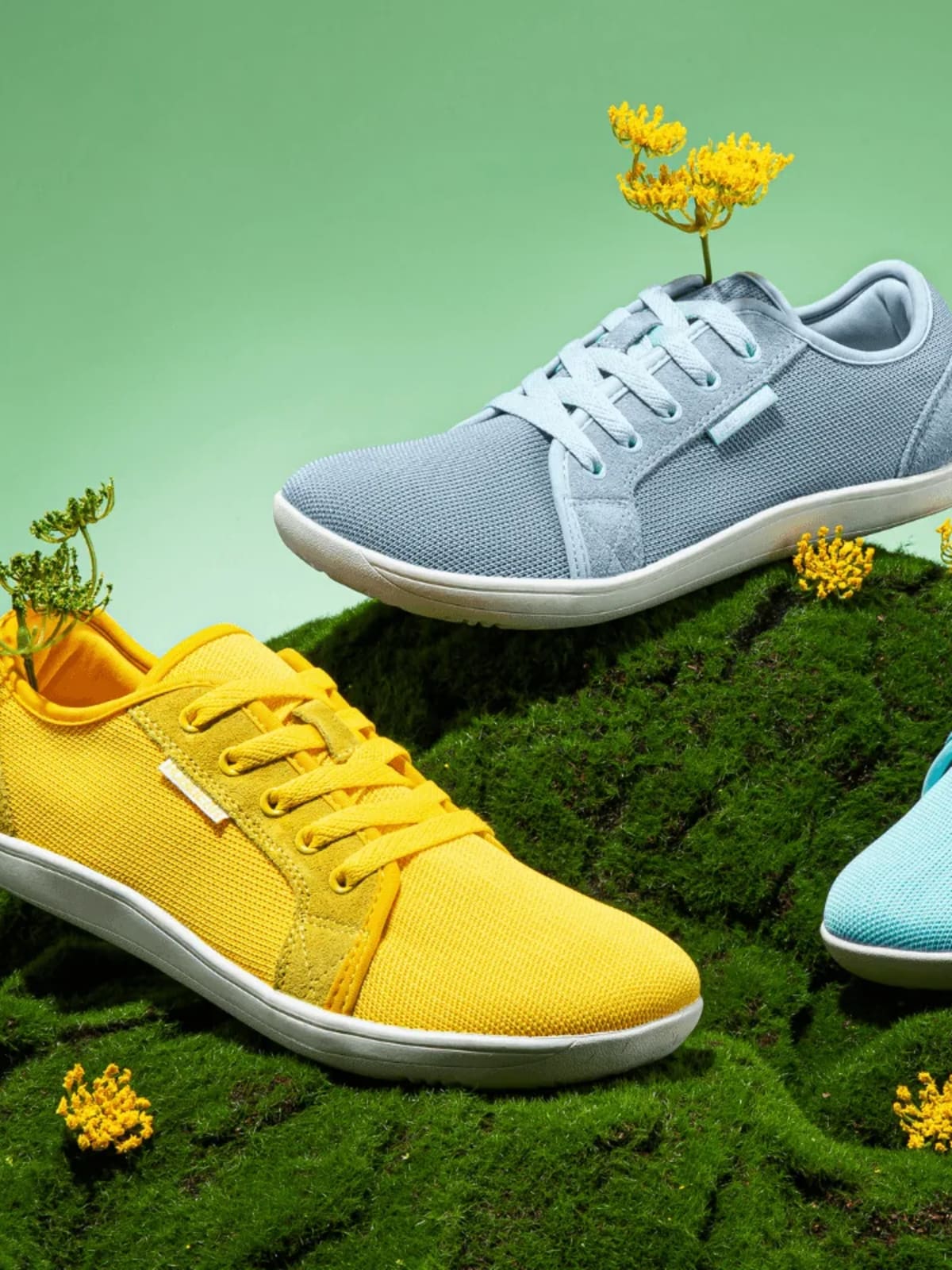 Hobibear: Redefining Natural Movement and Everyday Wellness