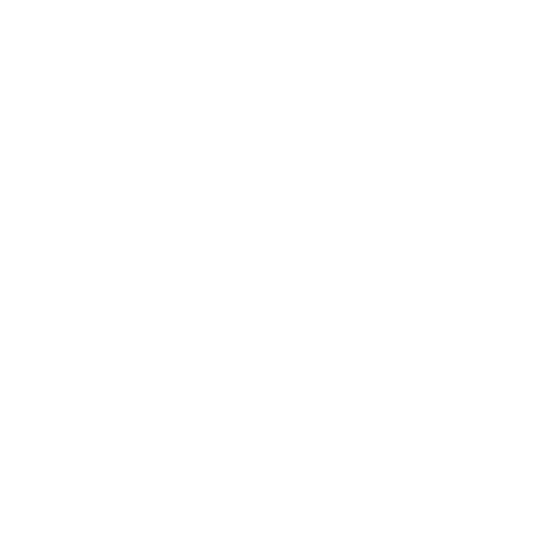 Schwank Grills logo