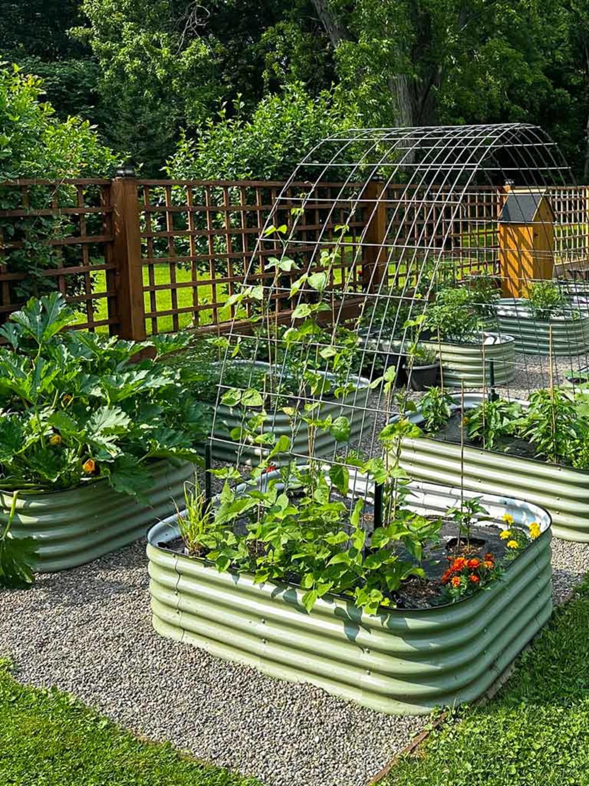 Vegega: Elevating Home Gardening with Smarter Raised Garden Beds for Healthier Living