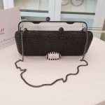 Eleanor Crystal Clutch view 10