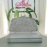 Hive Clasp Clutch view 3