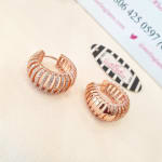 Laser Cut Stoned Earrings view 3