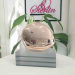 Elegant Gloss Clutch view 3