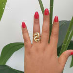 Interloop Ring view 2