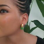 Twin Colour Earring view 2