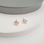 Starluxe Gold Earrings view 1
