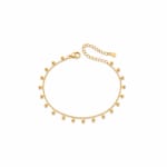 Charm Anklet view 2
