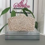 Shimmer Crystal Clutch view 2