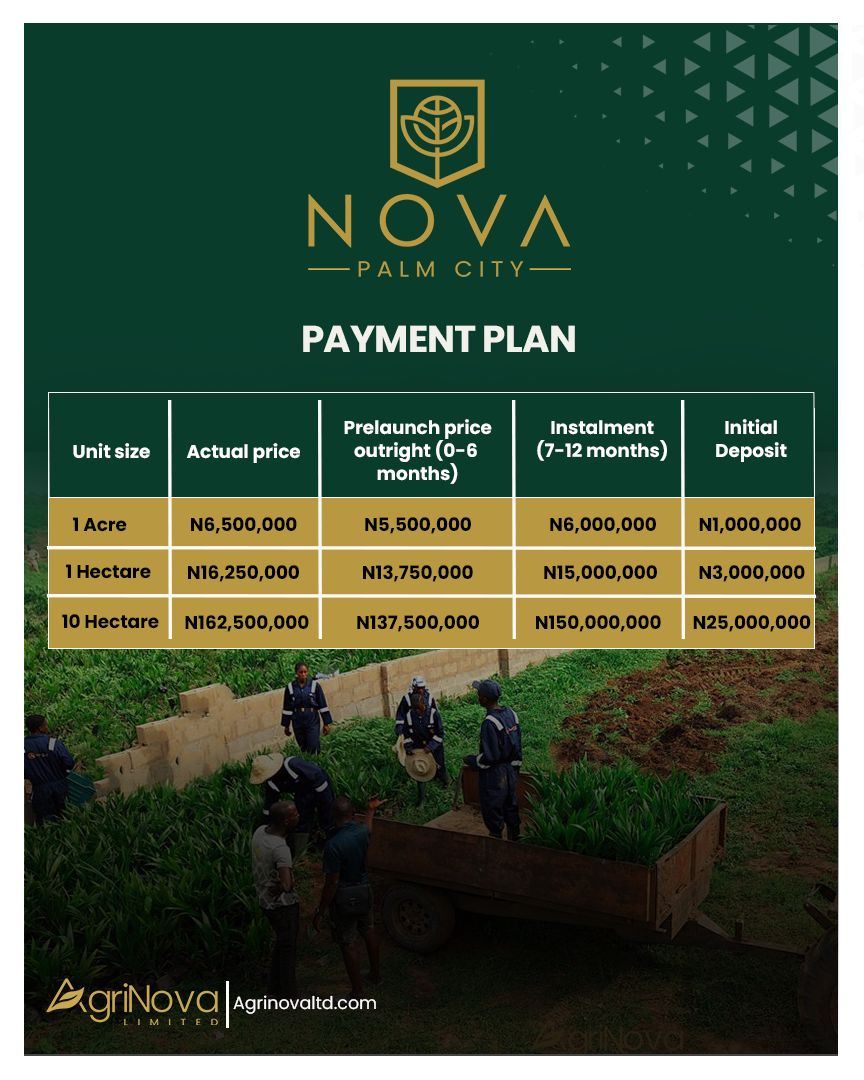 Buy Oil Palm Farmland in Abeokuta | Nova Palm City by AgriNova Limited