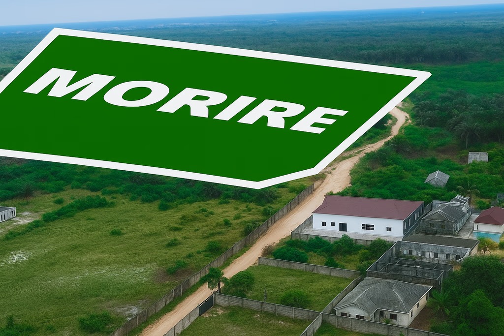 Morire Residential Land