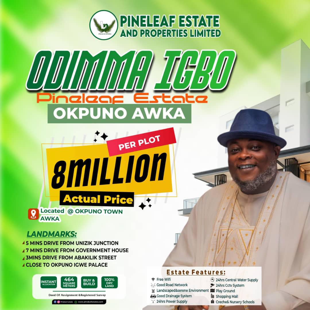 Odimma Igbo Pineleaf Estate