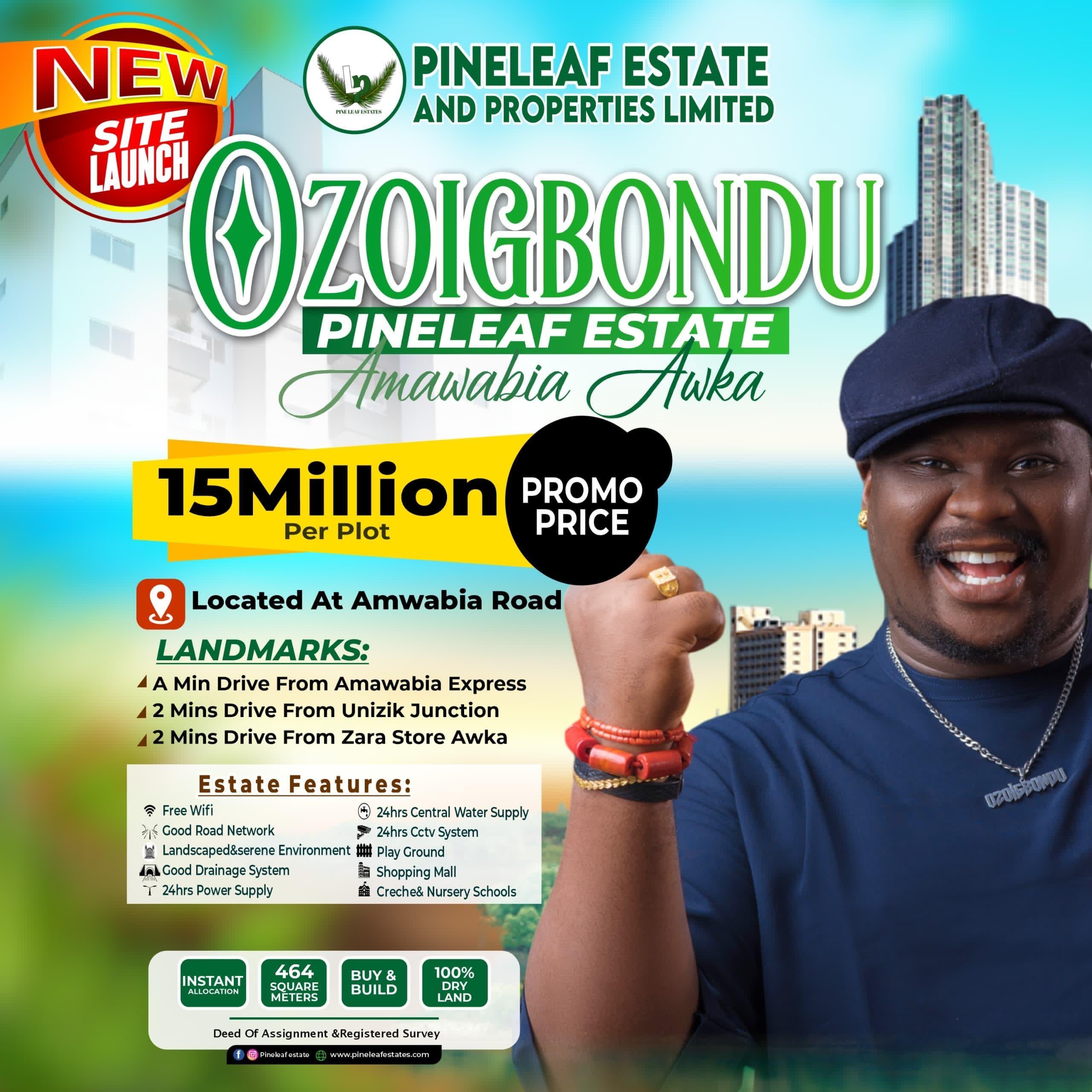 Ozoigbondu