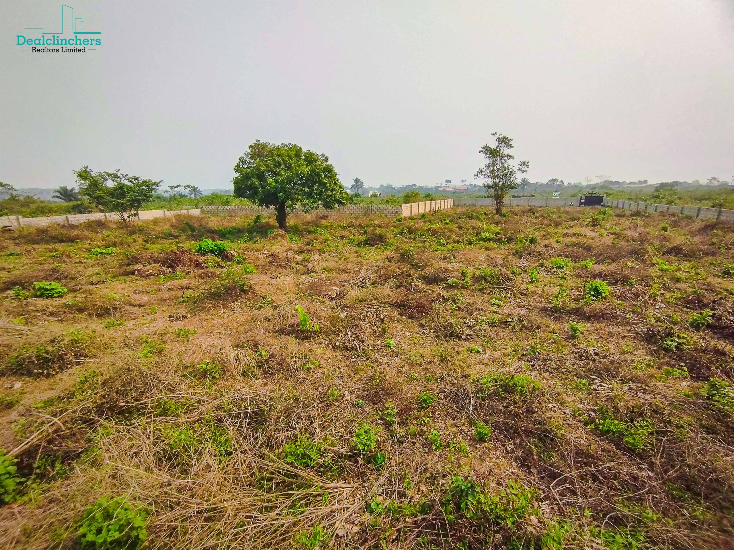 AOA Garden(Ikorodu) — photo 4