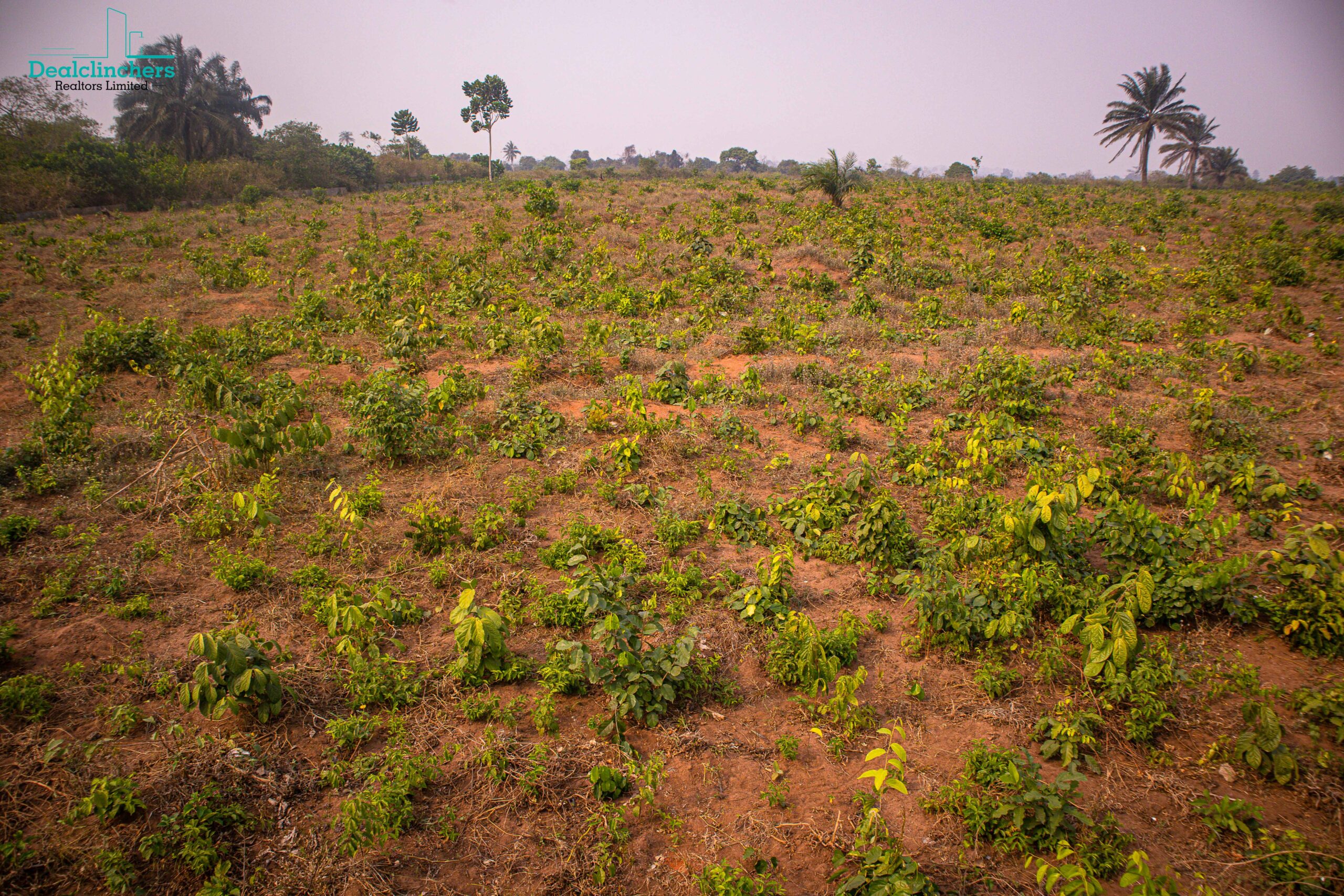 Favour Estate- Land — photo 1