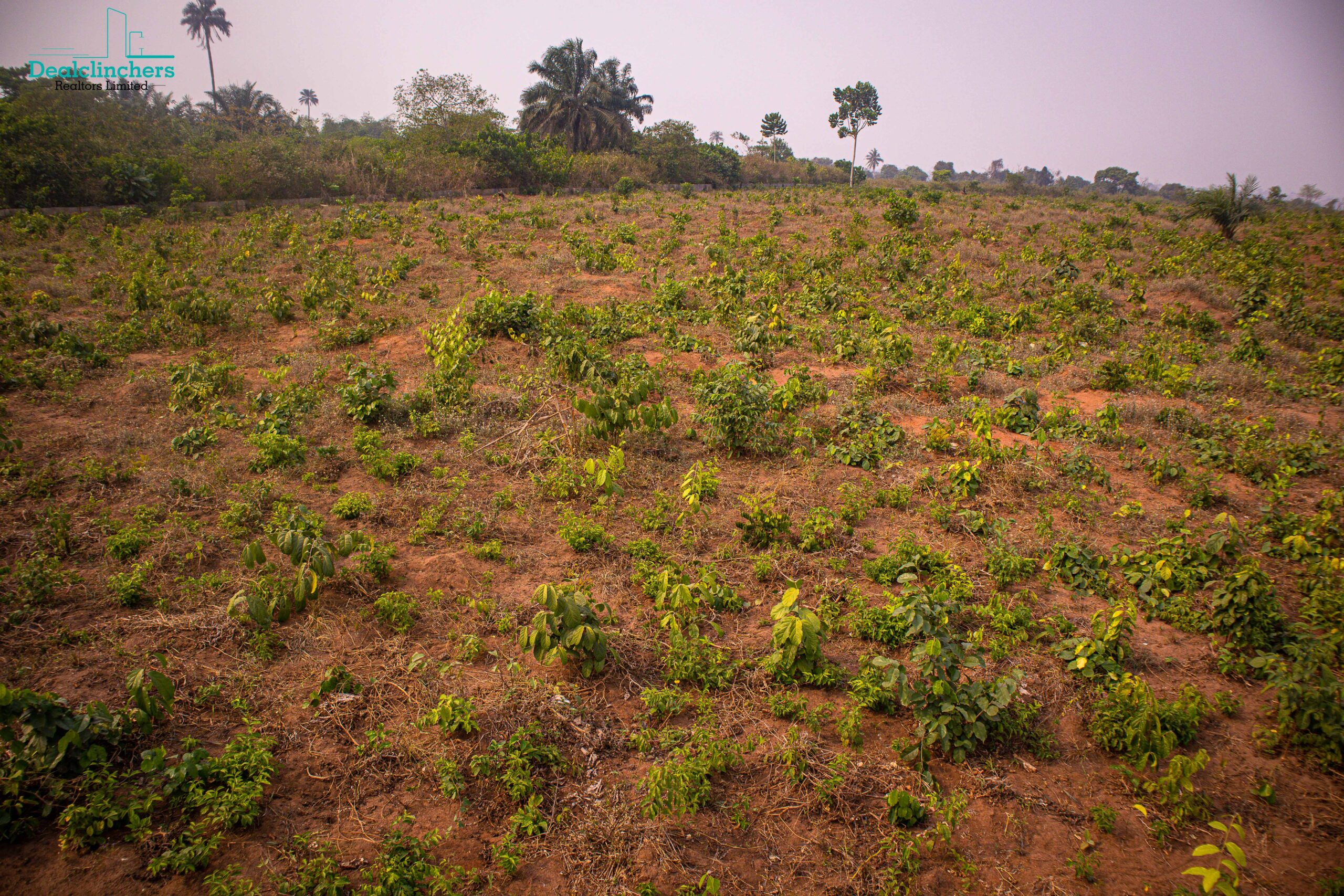 Favour Estate- Land — photo 4